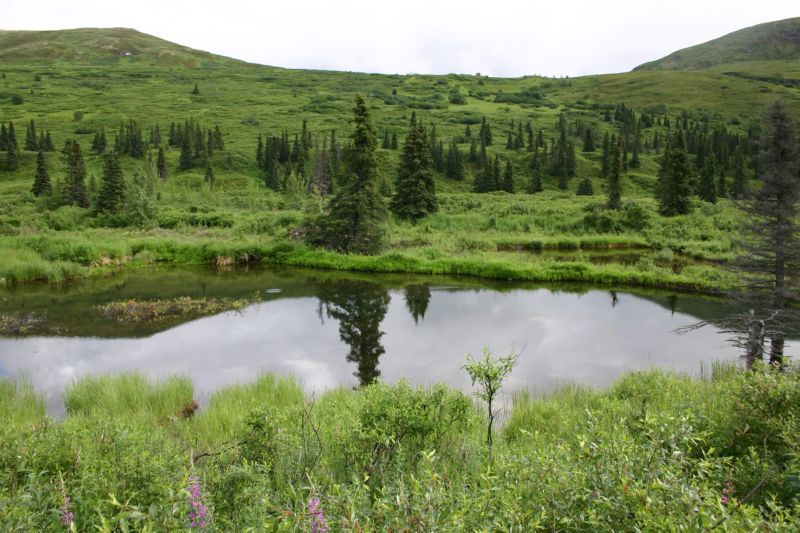 070404 Hope Hatcher Montana Creek (10186)